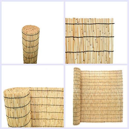 Mininfa Natural Reed Fencing