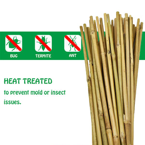 Mininfa Natural Bamboo Stakes 2 FT 30 Pack