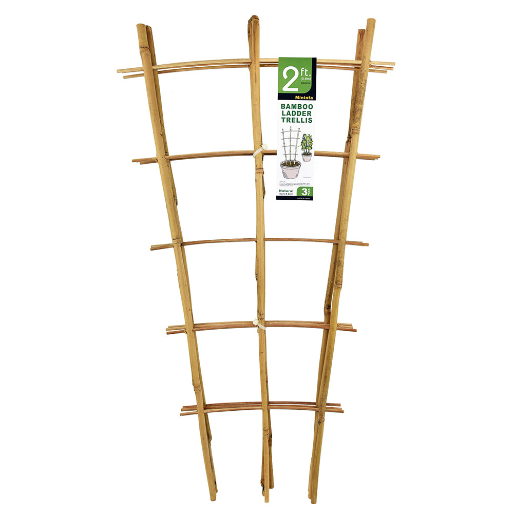 Mininfa Natural bamboo trellis