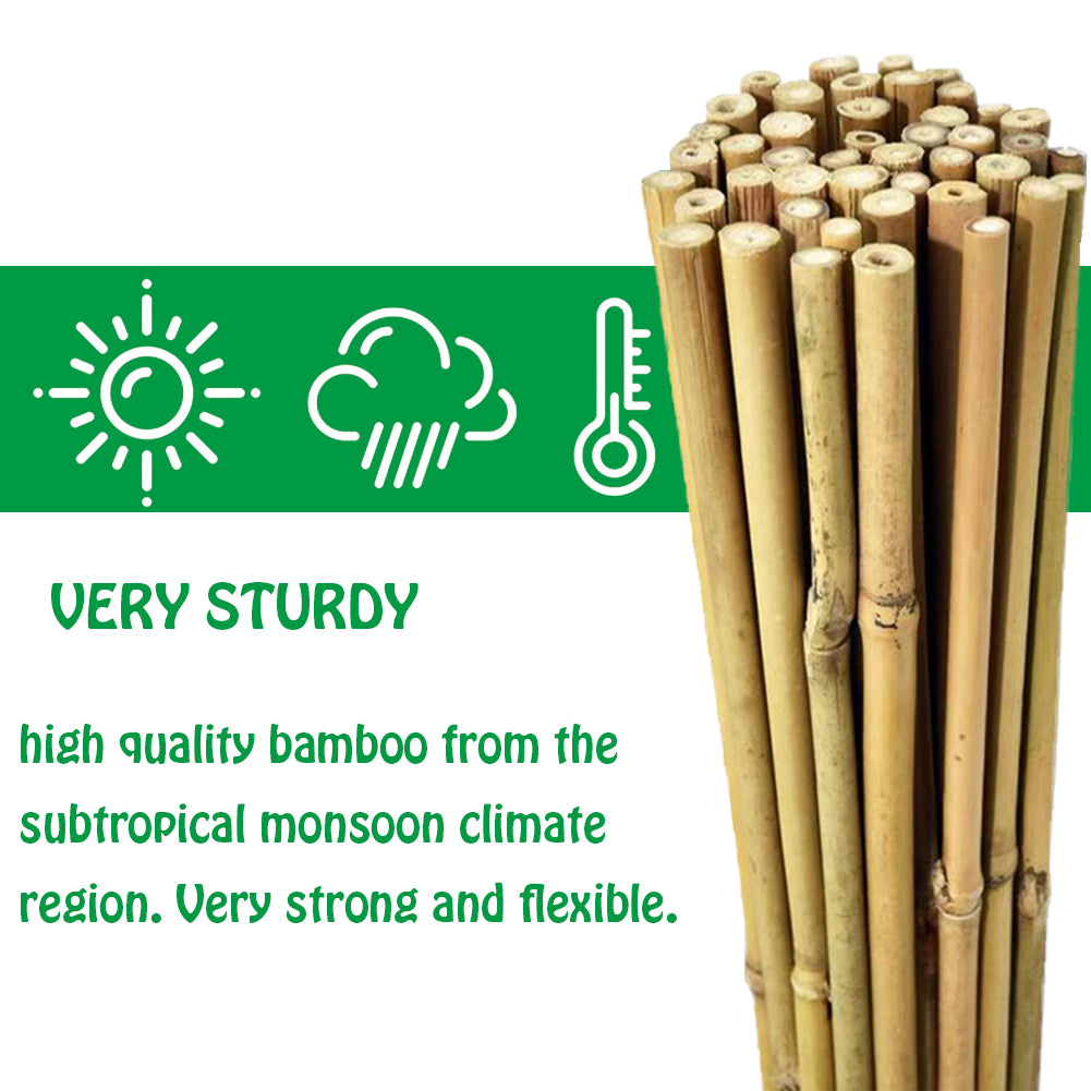 Mininfa Natural Bamboo Stakes 4 FT 25 Pack