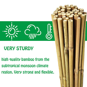 Mininfa Natural Bamboo Stakes 2 FT 30 Pack