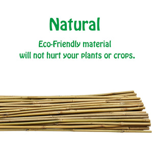 Mininfa Natural Bamboo Stakes 2 FT 30 Pack