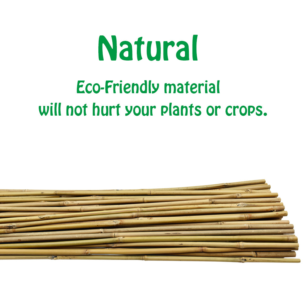 Mininfa Natural Bamboo Stakes 6 FT 20 Pack