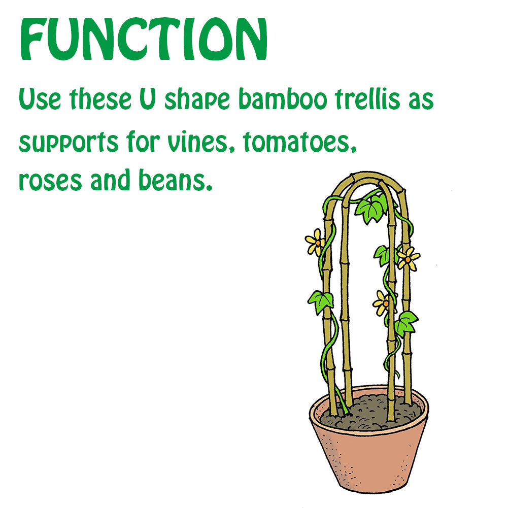 Mininfa Natural U-Hoops Bamboo