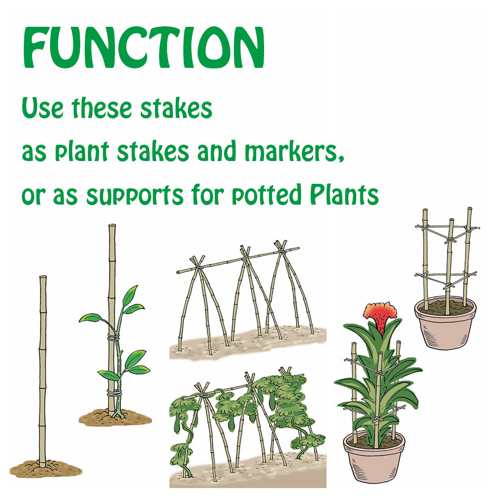 Natural bamboo trellis S2 1.5FT