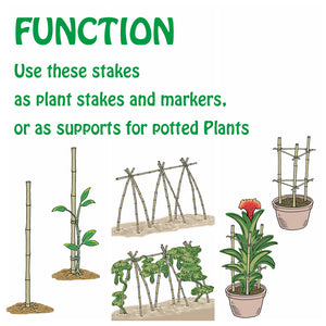 Natural bamboo trellis S2 1.5FT