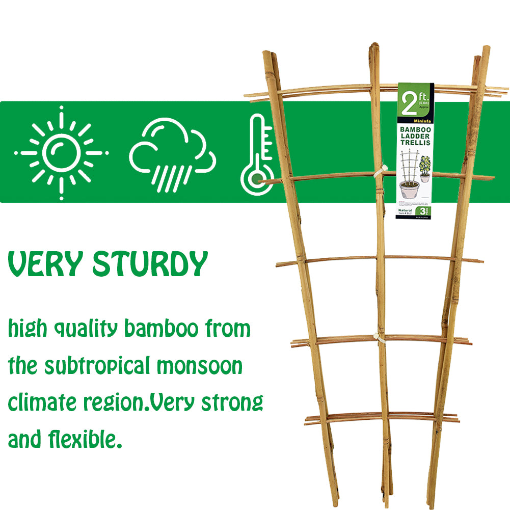 Mininfa Natural bamboo trellis